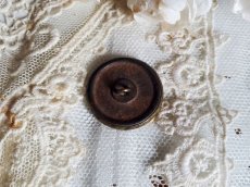 画像3: フランス 1900年前後 真鍮ボタン コスモ 23mm (3)