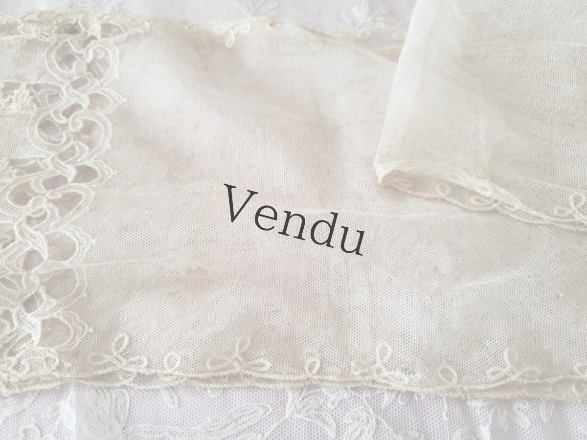 画像4: フランス 1900年前後　チュール透かし刺繍　ラペット 171cm (4)