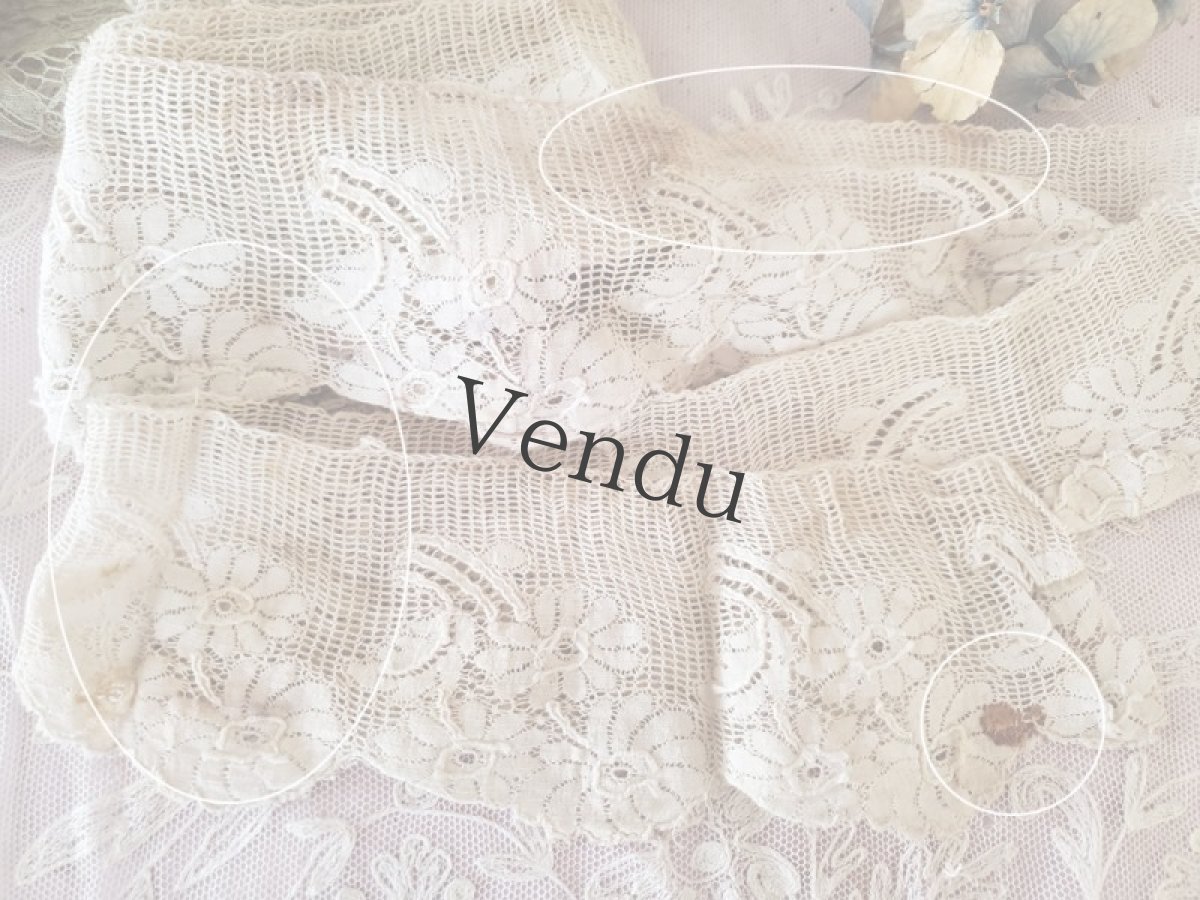 画像6: フランスアンティーク　スカラップレース　マルグリット 156cm (6)