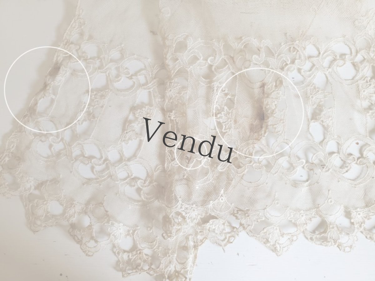 画像5: フランス 1900年前後　チュール透かし刺繍　ラペット 171cm (5)
