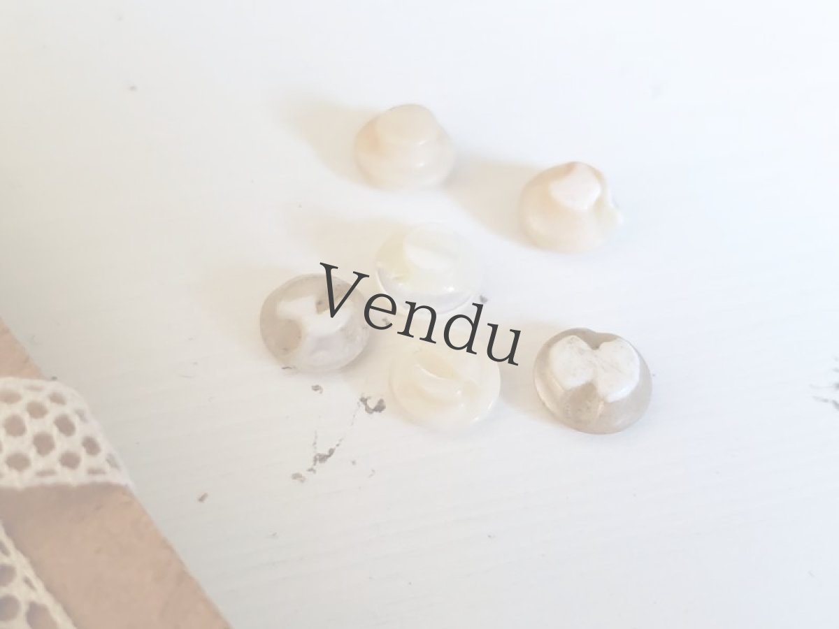 画像4: フランスアンティーク　ころころ極小貝ボタン 6個セット 8mm (4)