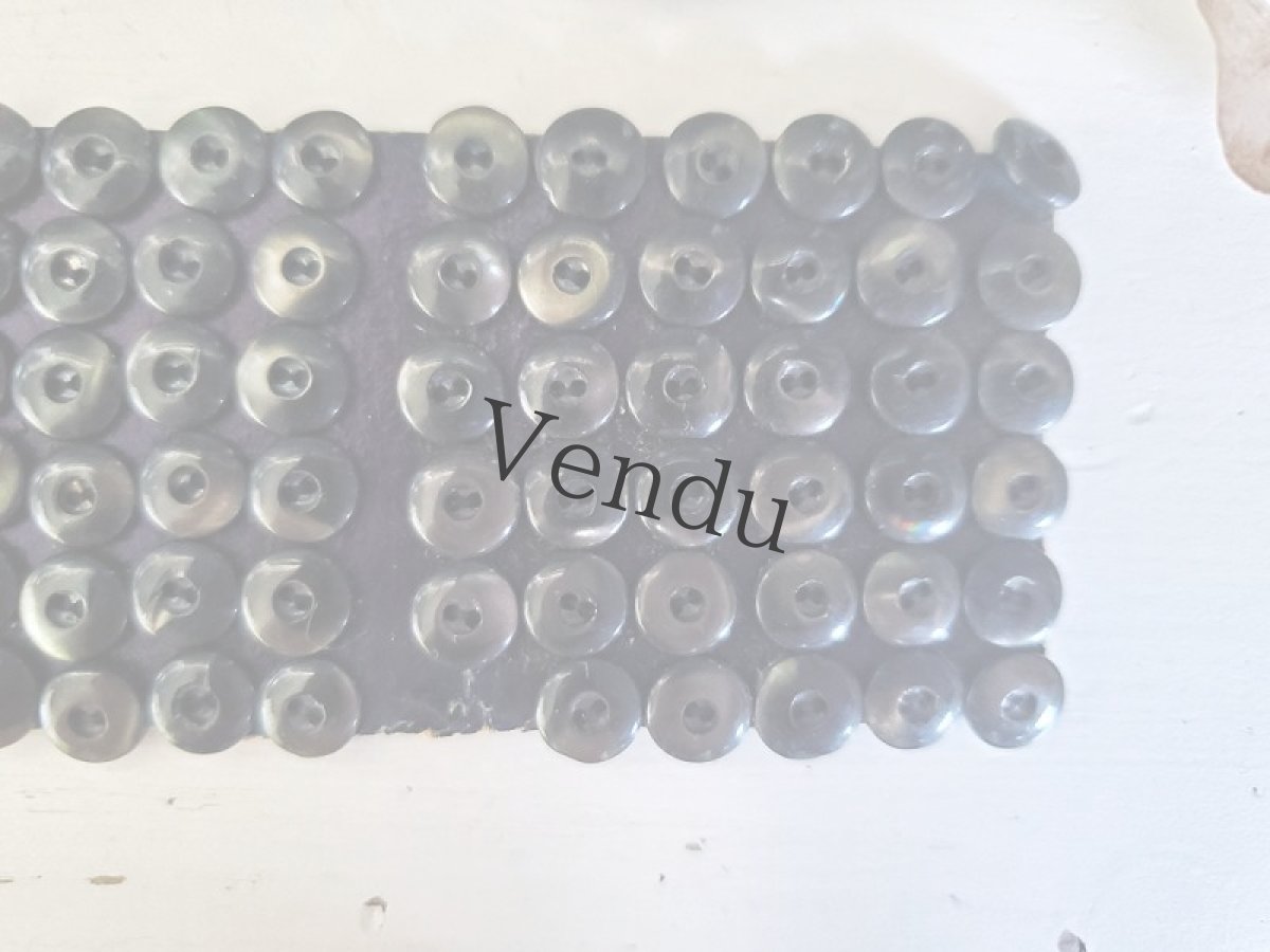 画像2: フランスアンティーク　黒着色 極小貝ボタンシート 8mm (2)