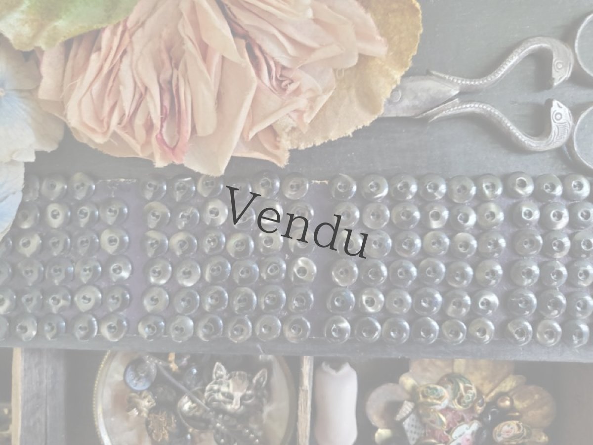 画像5: フランスアンティーク　黒着色 極小貝ボタンシート 8mm (5)