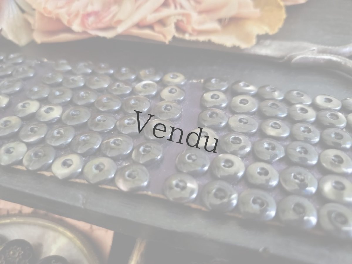 画像6: フランスアンティーク　黒着色 極小貝ボタンシート 8mm (6)