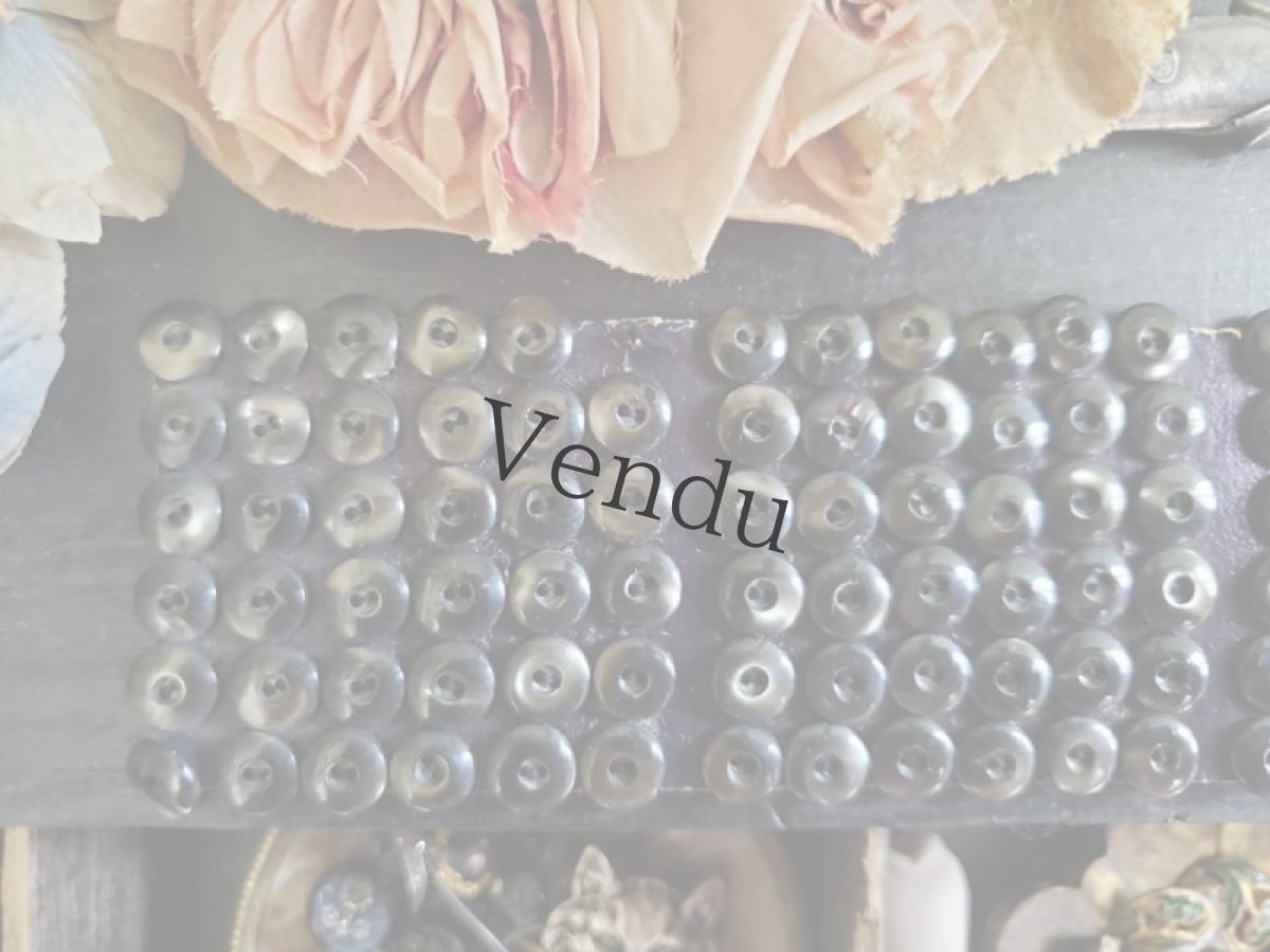 画像7: フランスアンティーク　黒着色 極小貝ボタンシート 8mm (7)