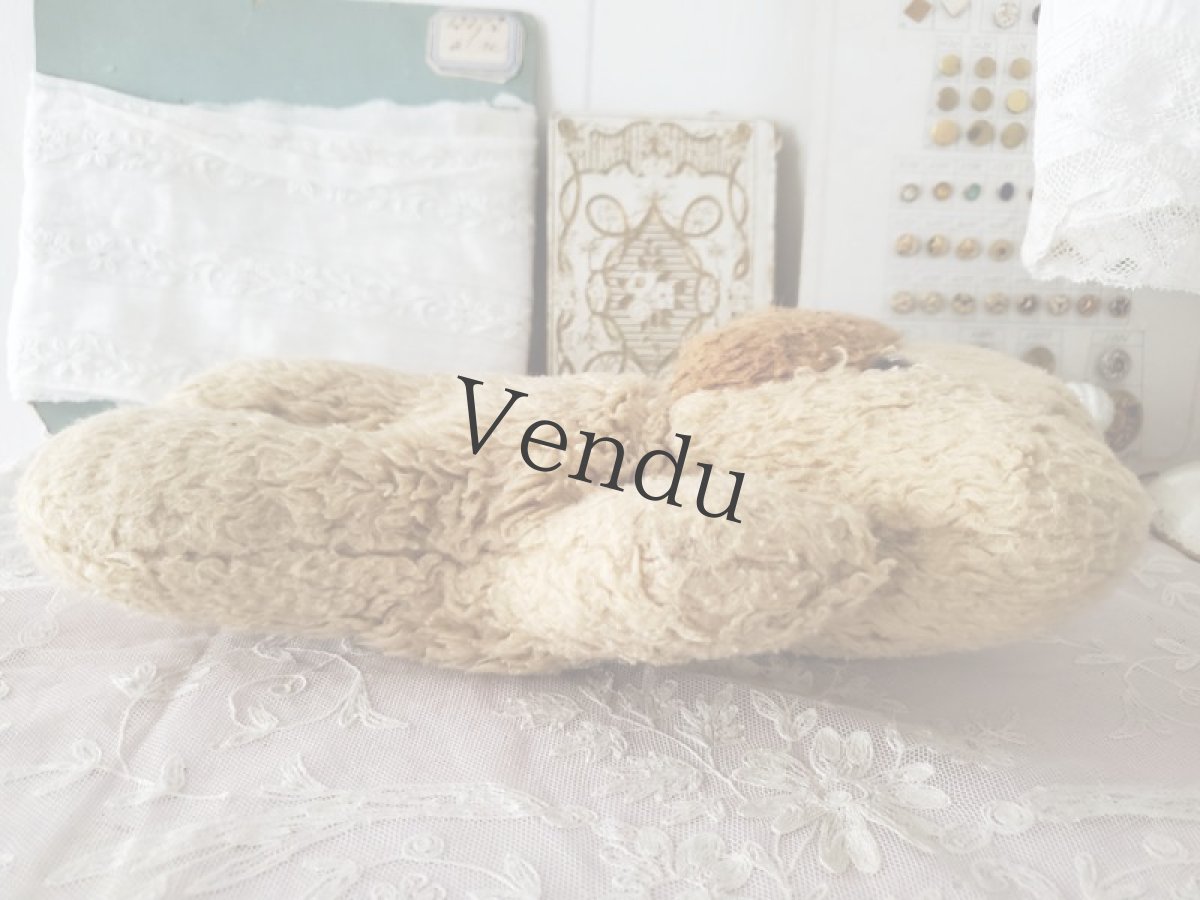 画像5: フランス 1960-1970年　くまのぬいぐるみ (5)