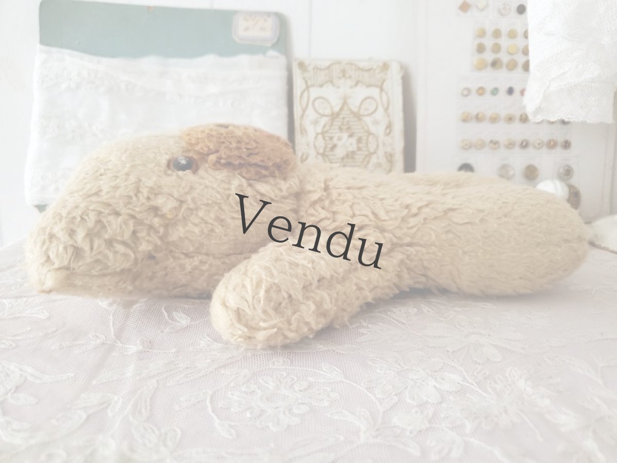 画像6: フランス 1960-1970年　くまのぬいぐるみ (6)