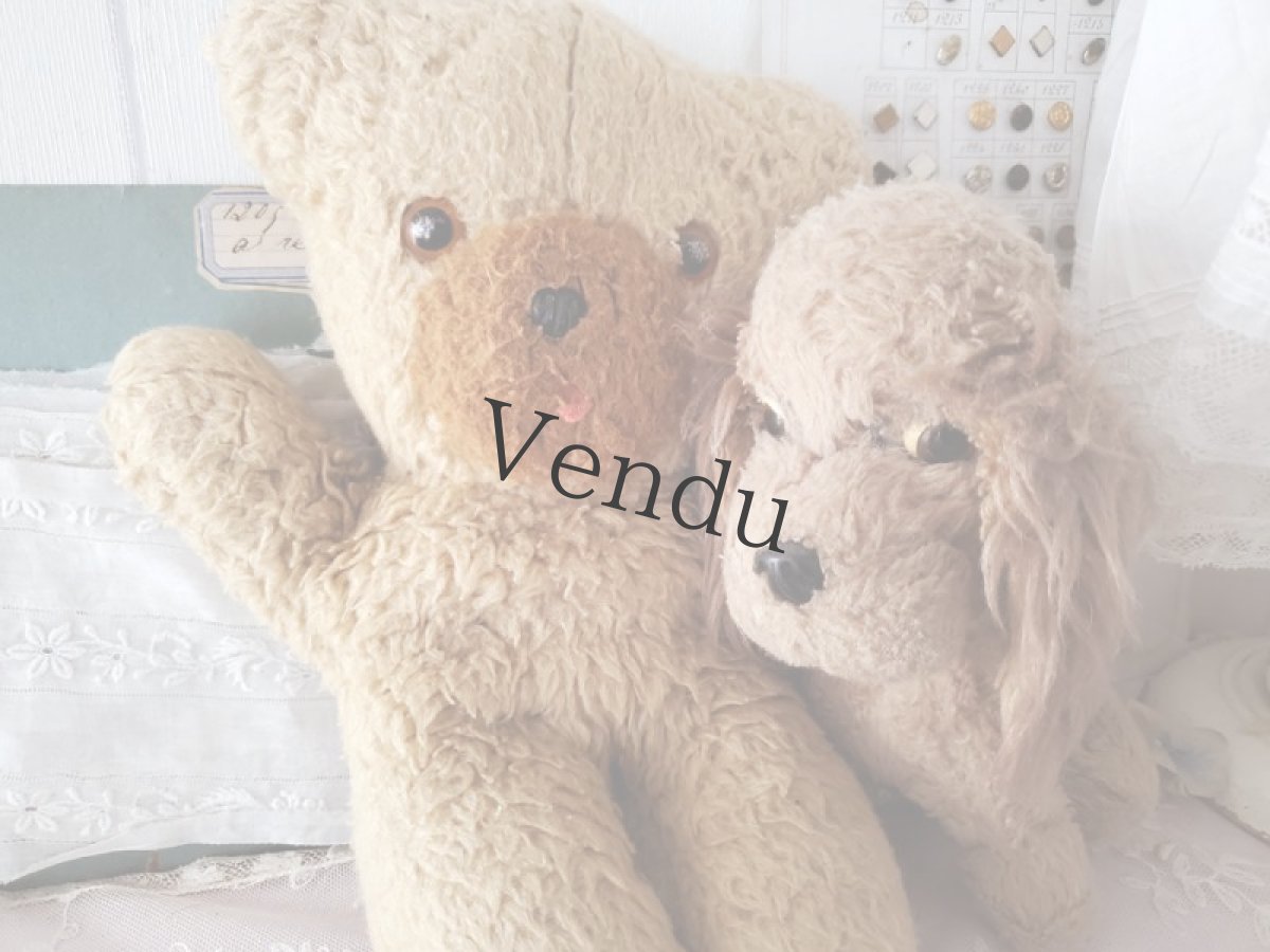 画像8: フランス 1960-1970年　くまのぬいぐるみ (8)