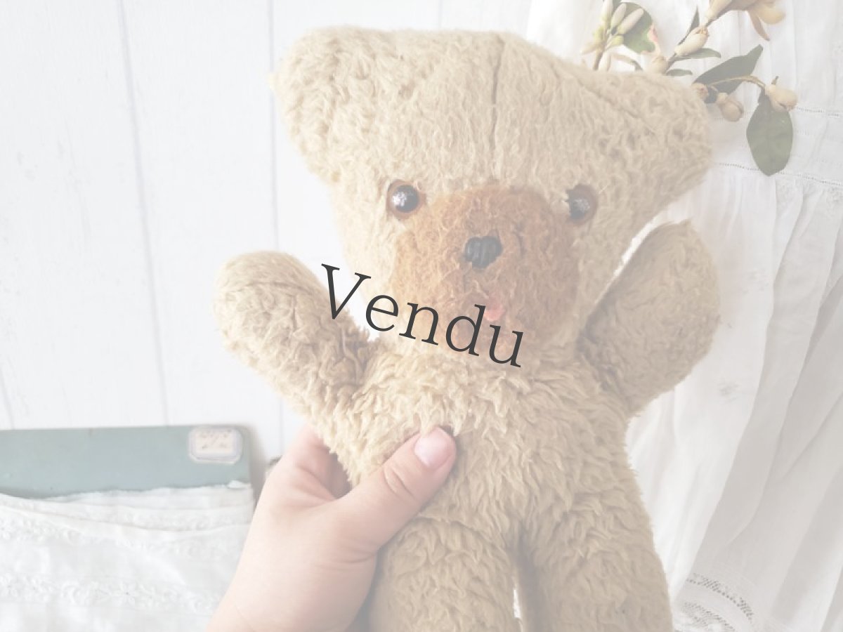 画像3: フランス 1960-1970年　くまのぬいぐるみ (3)