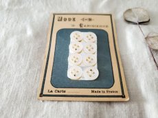 画像2: フランスアンティーク　貝ボタンシート 四つ穴 MODE Parisienne 10mm (2)
