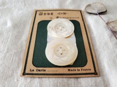 画像3: フランスアンティーク　貝ボタンシート 飾り四つ穴 MODE Parisienne 26mm (3)