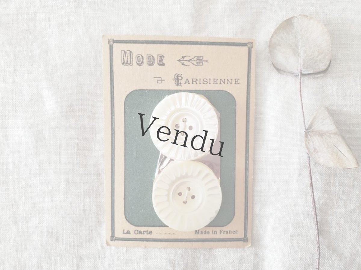 画像1: フランスアンティーク　貝ボタンシート 飾り四つ穴 MODE Parisienne 26mm (1)