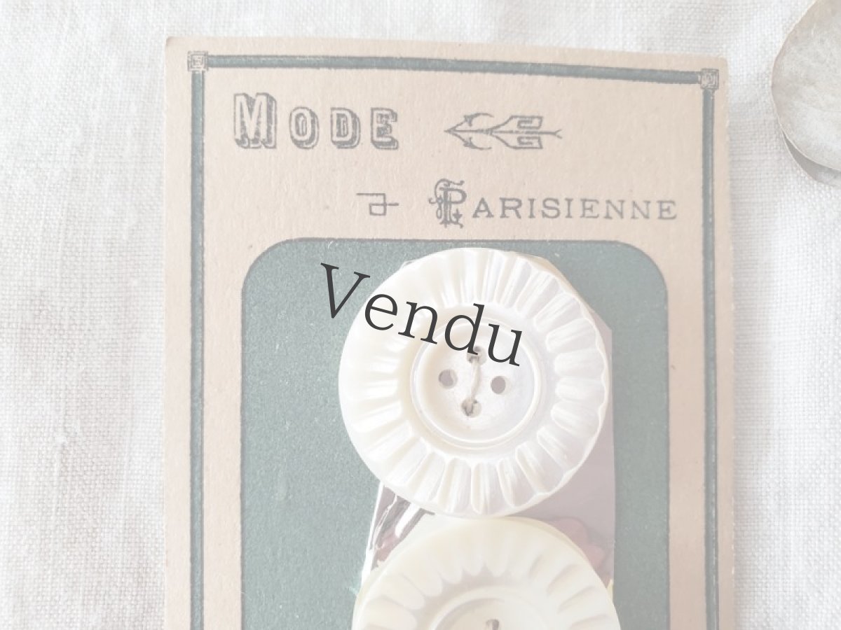 画像2: フランスアンティーク　貝ボタンシート 飾り四つ穴 MODE Parisienne 26mm (2)