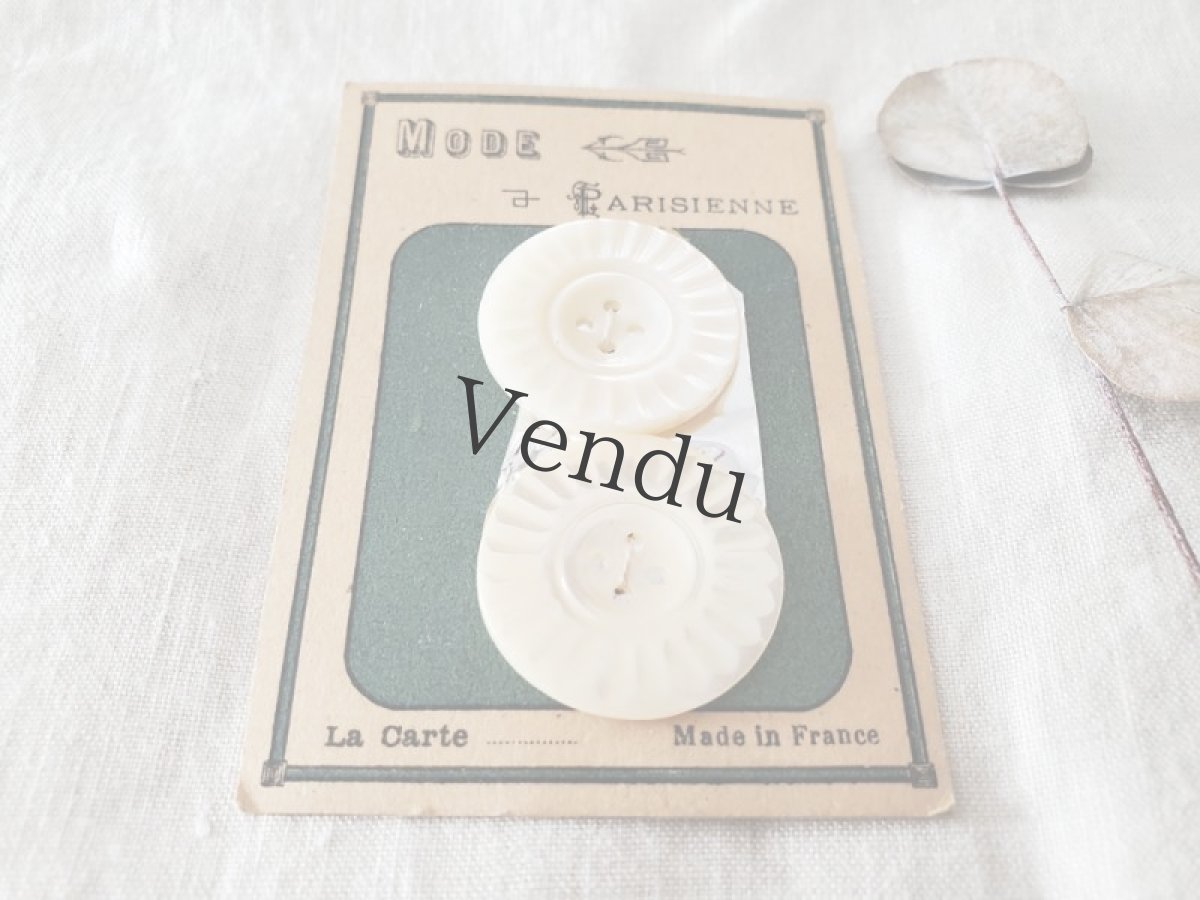 画像3: フランスアンティーク　貝ボタンシート 飾り四つ穴 MODE Parisienne 26mm (3)