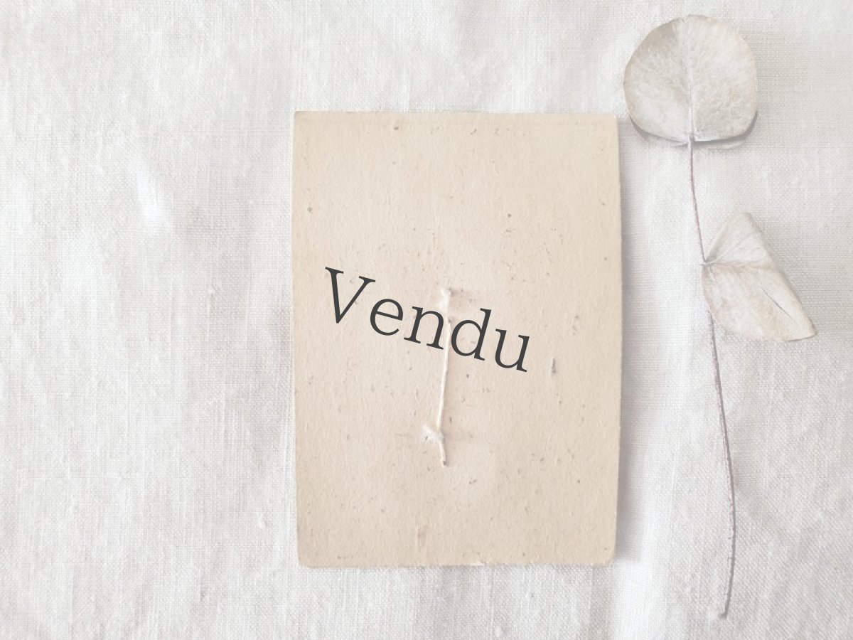 画像4: フランスアンティーク　貝ボタンシート 飾り四つ穴 MODE Parisienne 26mm (4)