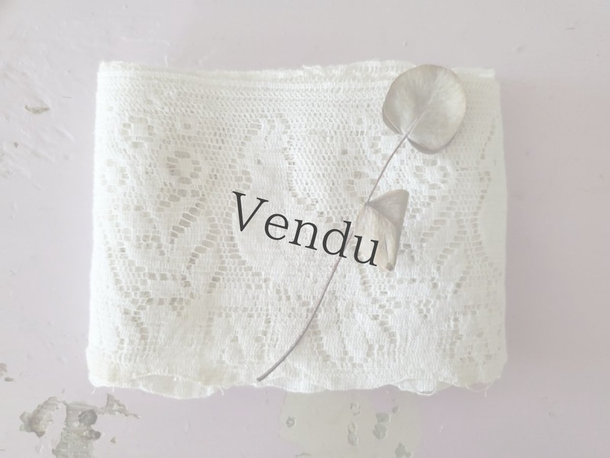 画像3: フランスヴィンテージ　オウムの幅広スカラップレース260cm (3)