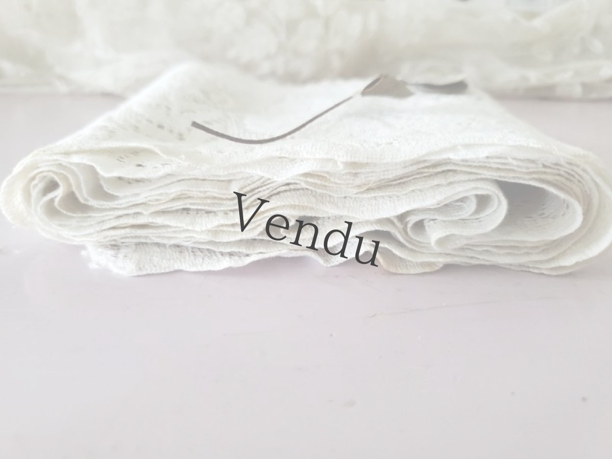 画像4: フランスヴィンテージ　オウムの幅広スカラップレース260cm (4)