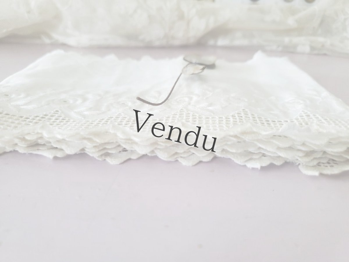 画像5: フランスヴィンテージ　幅広ばらの刺繍スカラップレース182cm (5)
