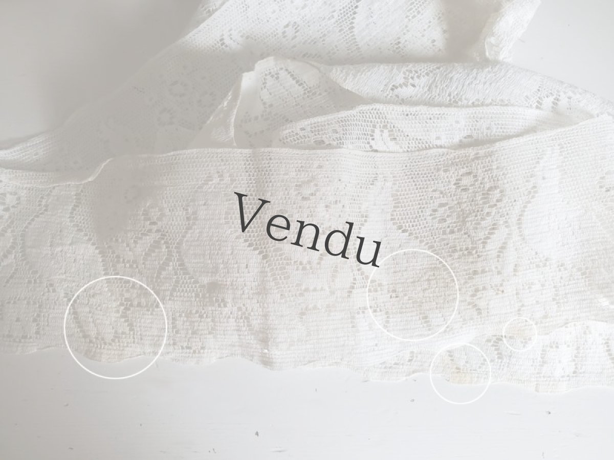 画像5: フランスヴィンテージ　オウムの幅広スカラップレース260cm (5)