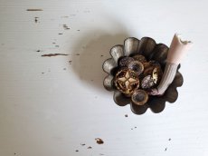 画像4: チェコスロバキア 1920-1930年代  メタルボタン 13mm 8こセット (4)