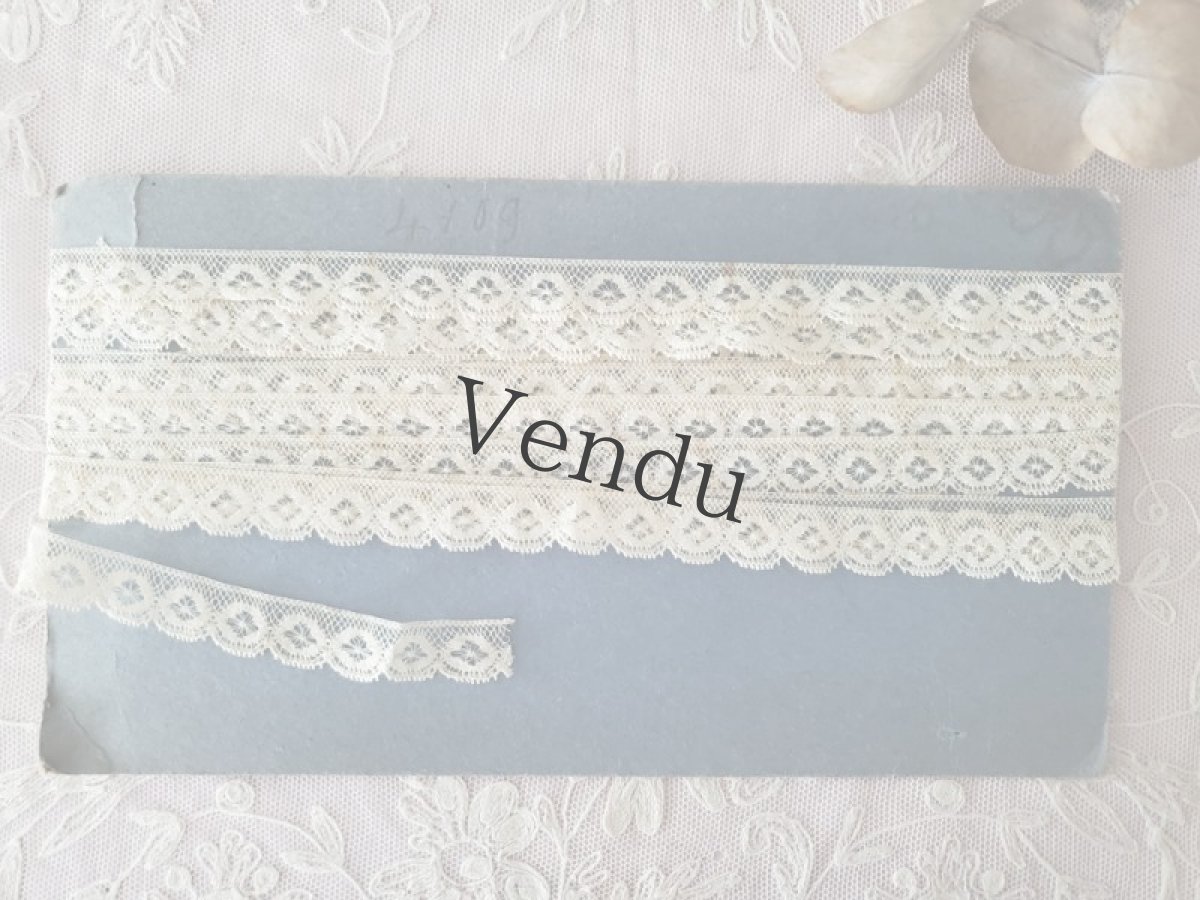 画像3: フランスアンティーク　チュールスカラップレース 50cm〜 (3)