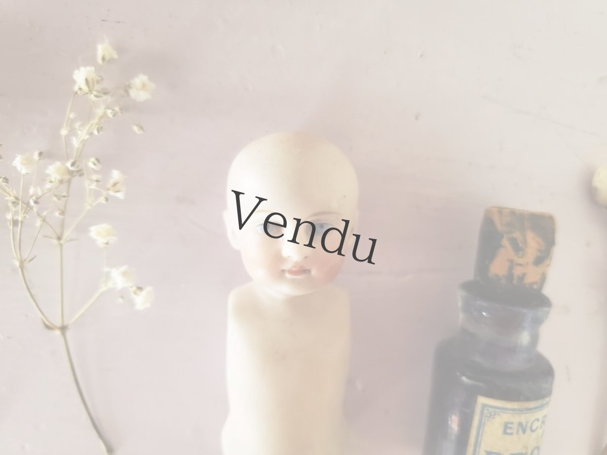 画像10: ドイツアンティーク  ビスクドール ボディ (10)