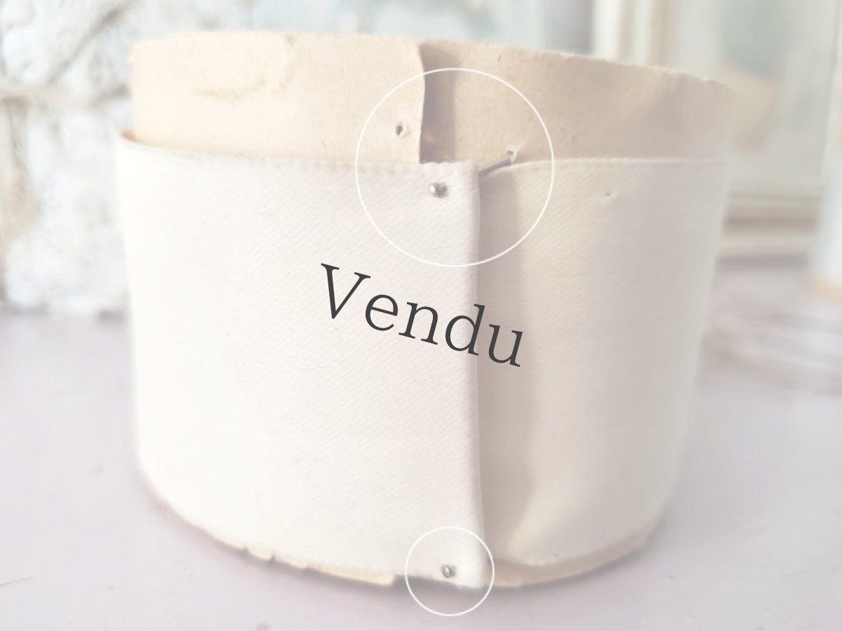 画像6: フランスアンティーク　巻きリボン Écru (6)