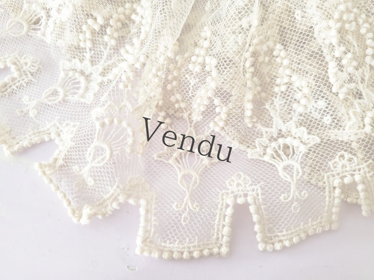 画像2: フランスアンティーク　チュール粒々刺繍 幅広レース 245cm (2)