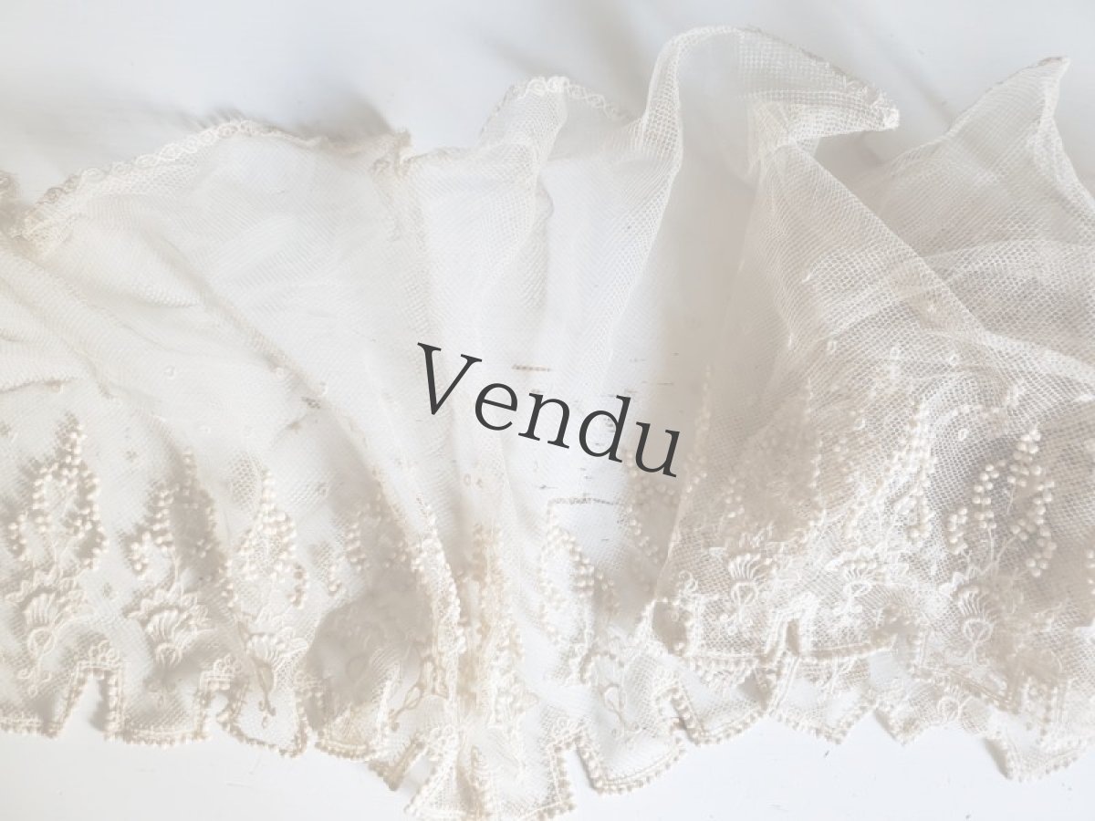 画像9: フランスアンティーク　チュール粒々刺繍 幅広レース 245cm (9)