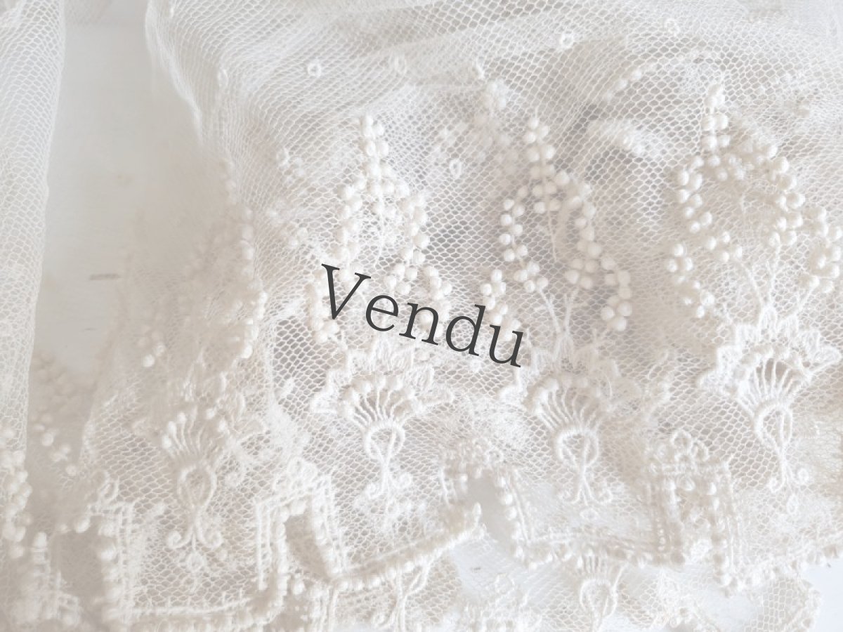 画像8: フランスアンティーク　チュール粒々刺繍 幅広レース 245cm (8)