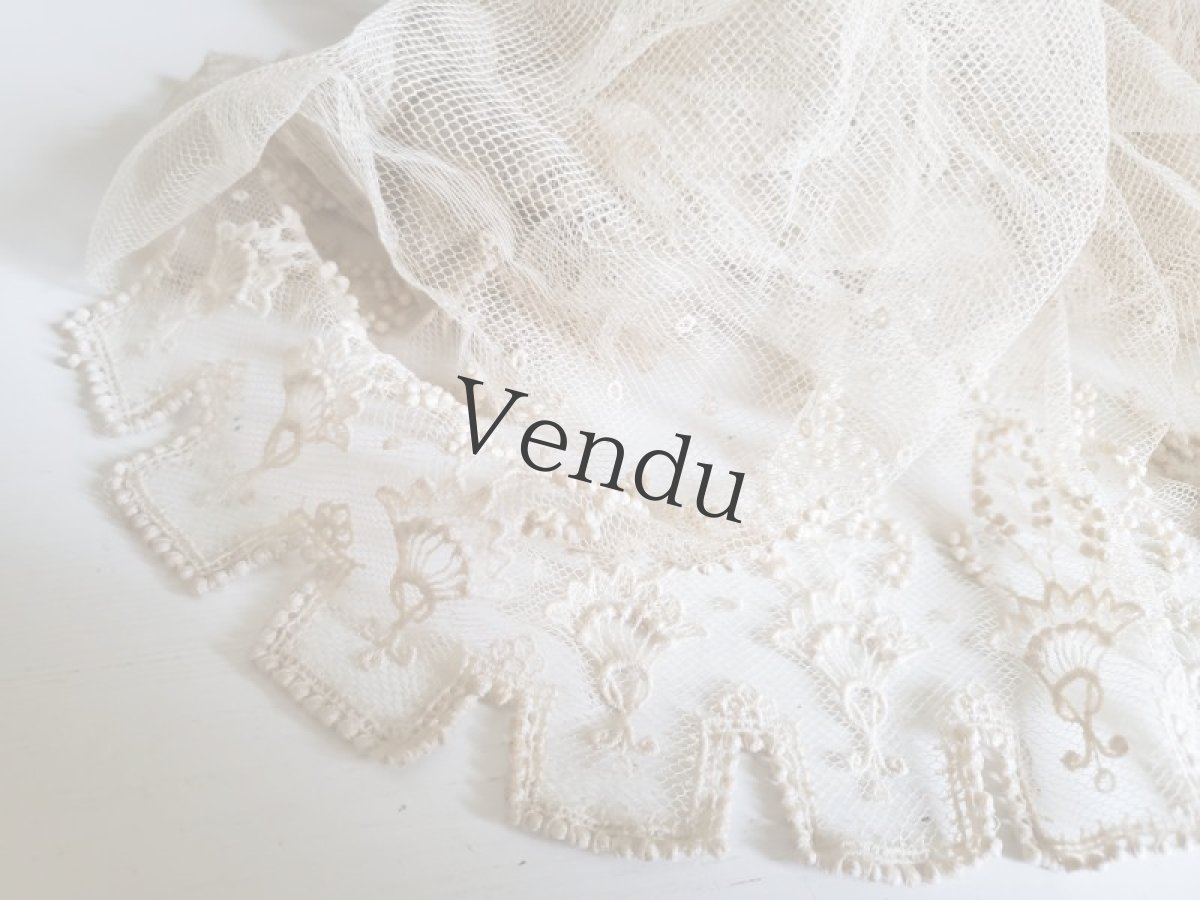 画像6: フランスアンティーク　チュール粒々刺繍 幅広レース 245cm (6)