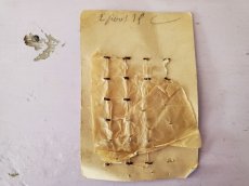 画像5: フランス 1900年前後　セルロイド×メタルボタンシート 12mm (5)