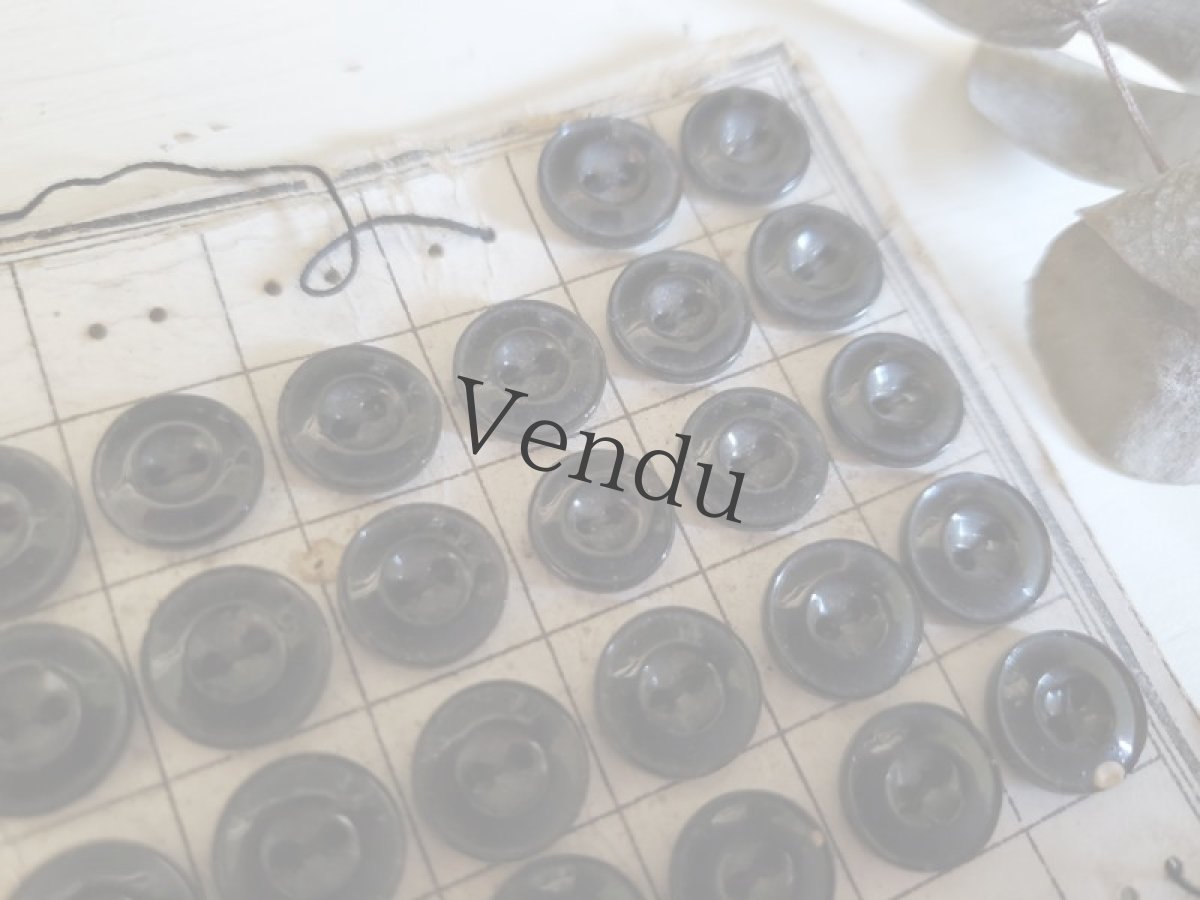 画像3: フランス アンティーク　シンプルボタンシート 黒 10mm (3)