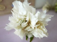 画像2: フランスアンティーク　白い布花　エクリュ (2)