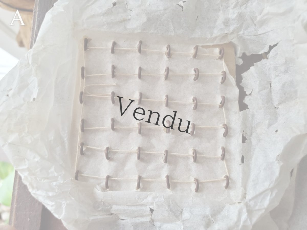 画像4: フランス1900年前後 シューボタンシート ブラウン (4)