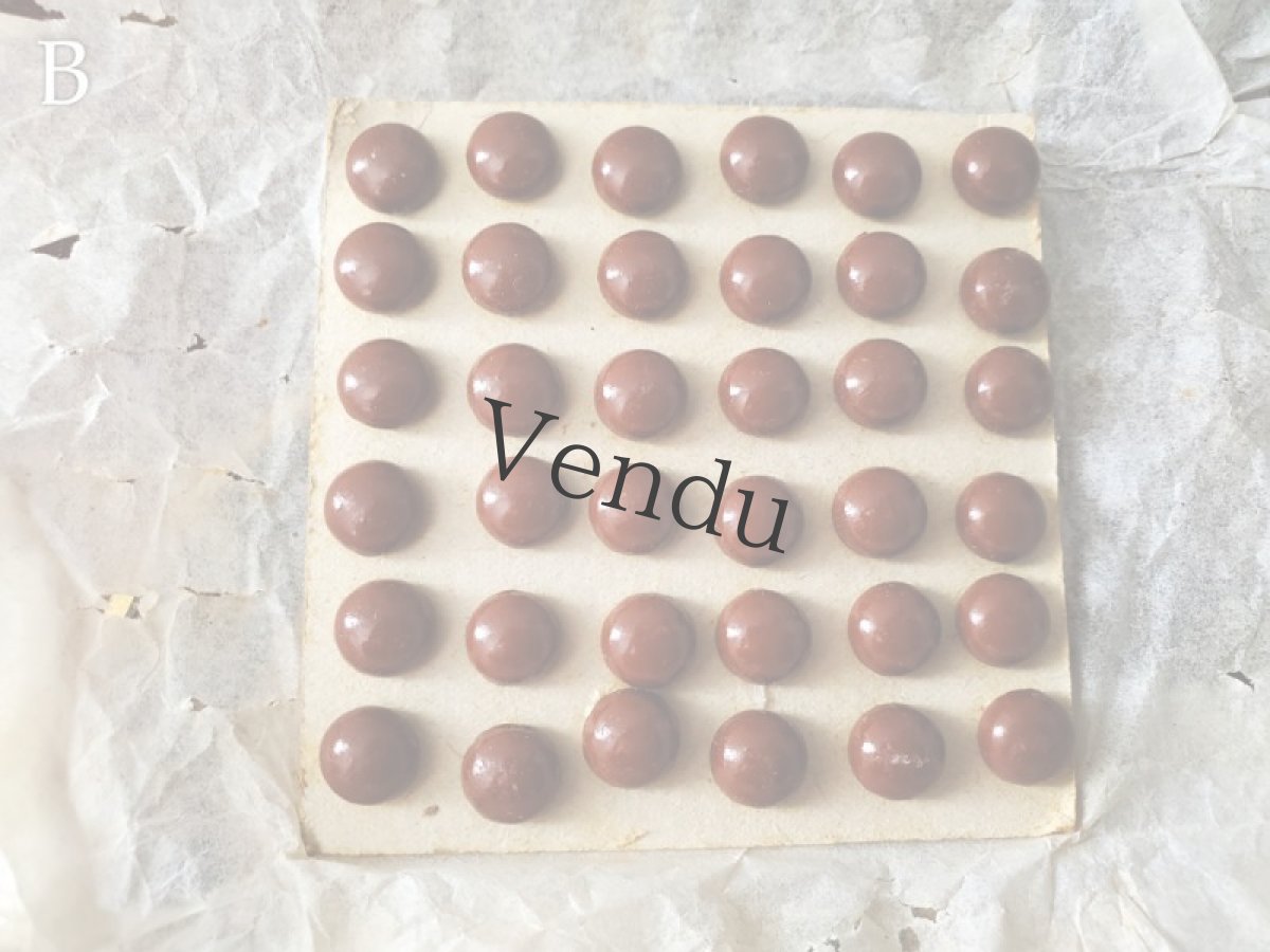 画像6: フランス1900年前後 シューボタンシート ブラウン (6)