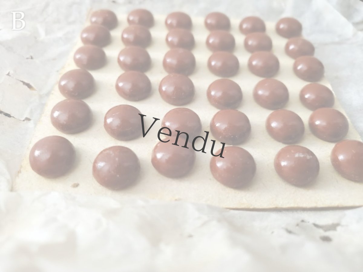 画像7: フランス1900年前後 シューボタンシート ブラウン (7)