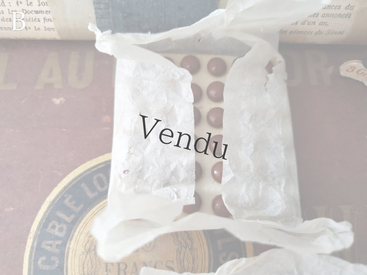 画像8: フランス1900年前後 シューボタンシート ブラウン (8)