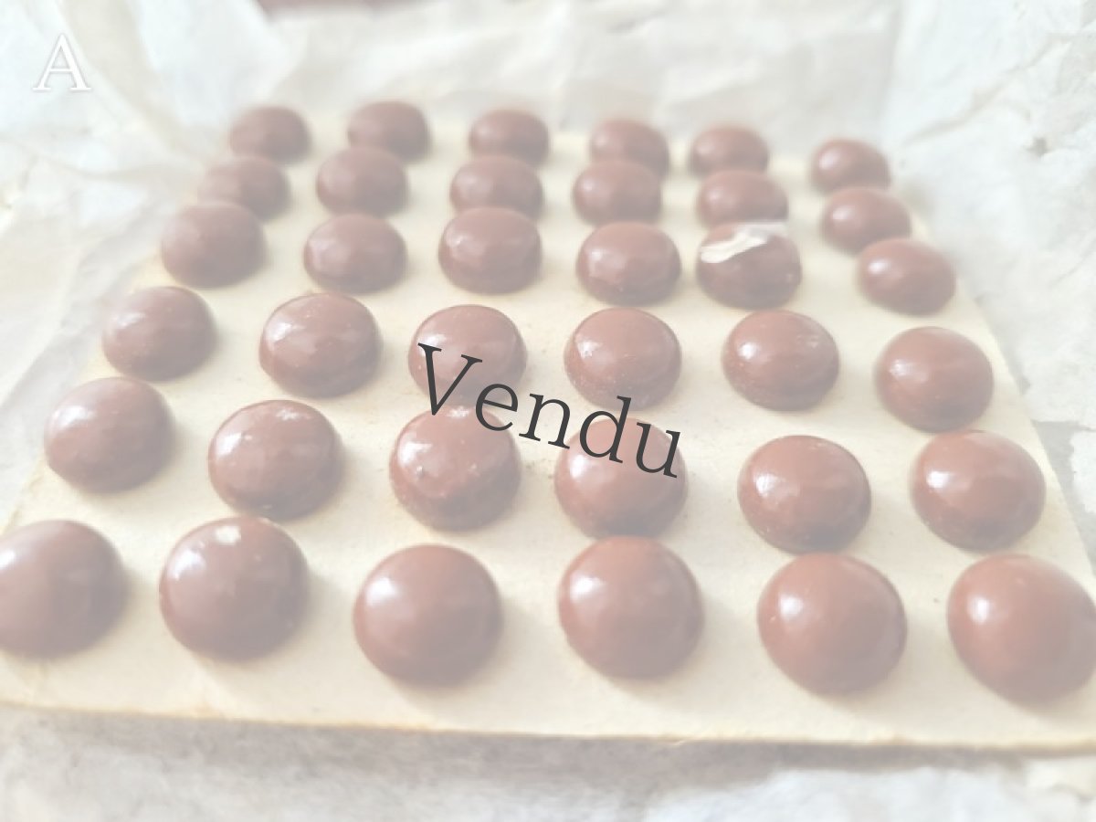 画像3: フランス1900年前後 シューボタンシート ブラウン (3)