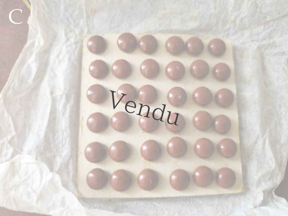 画像10: フランス1900年前後 シューボタンシート ブラウン (10)