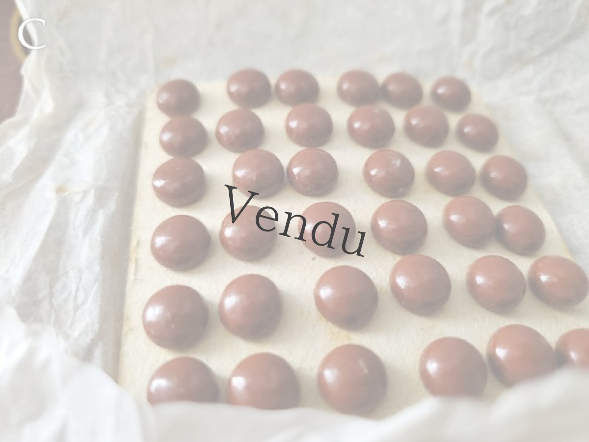 画像11: フランス1900年前後 シューボタンシート ブラウン (11)