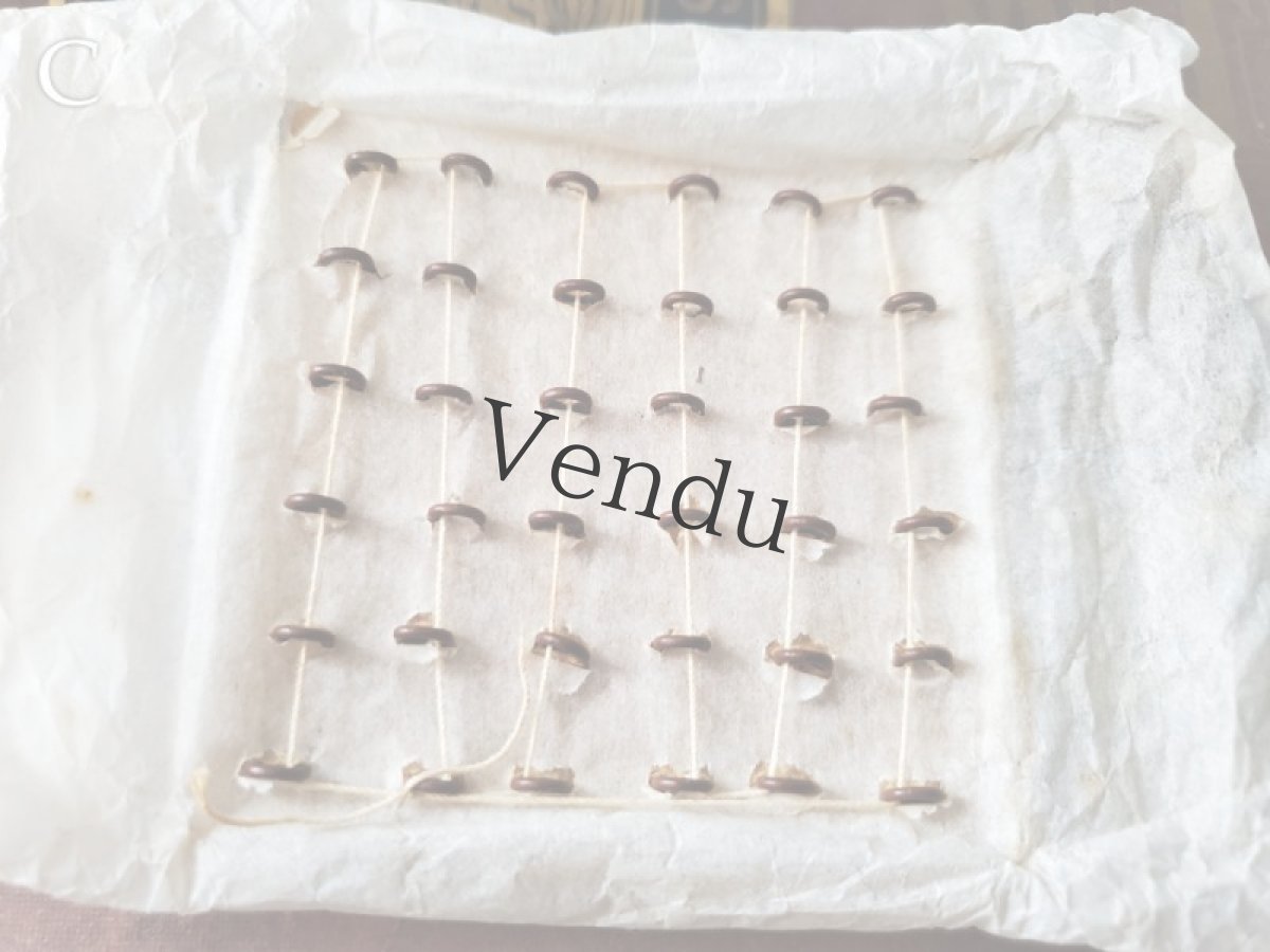 画像13: フランス1900年前後 シューボタンシート ブラウン (13)