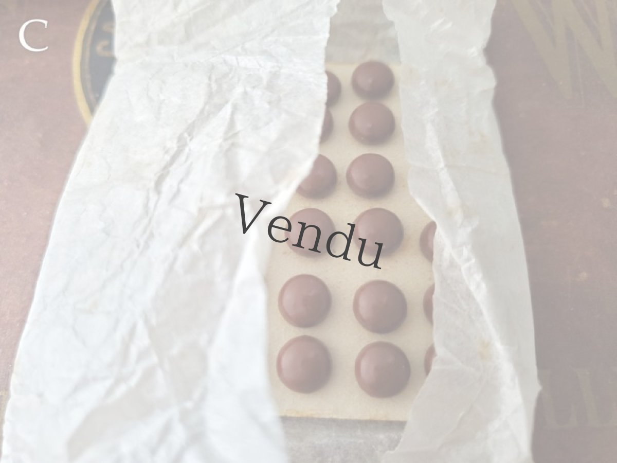 画像12: フランス1900年前後 シューボタンシート ブラウン (12)