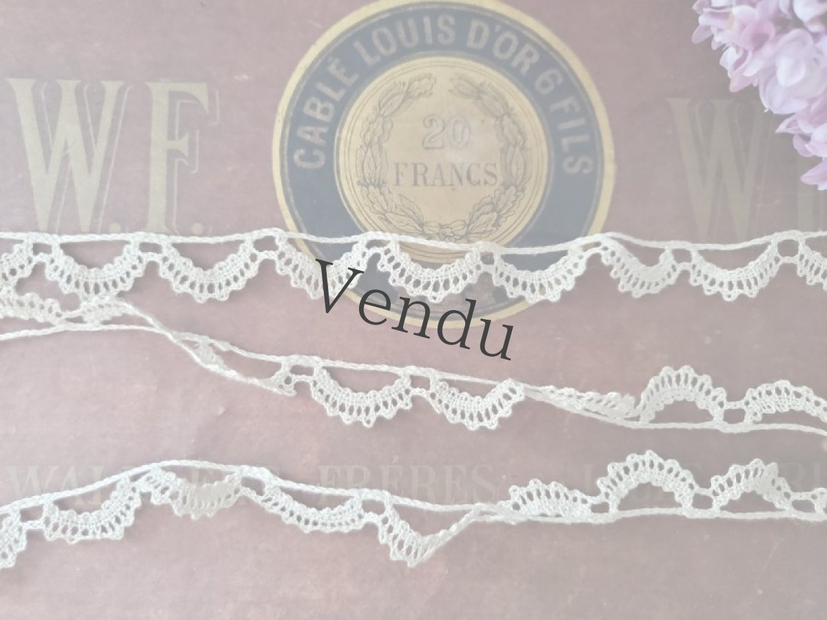 画像3: フランスアンティーク　スカラップレース 135cm (3)