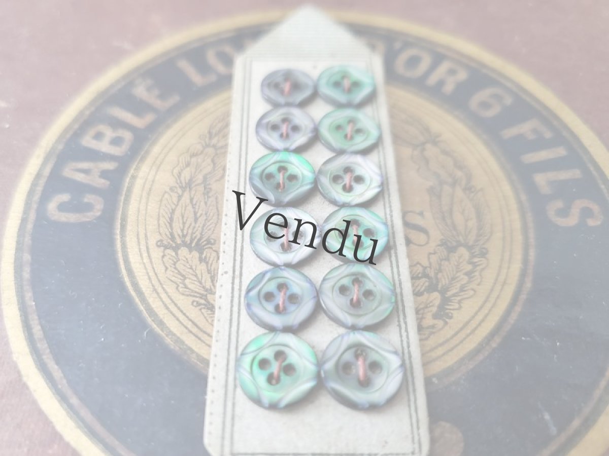 画像2: フランス1900年前後  黒蝶貝ボタンシート 深緑 9mm (2)