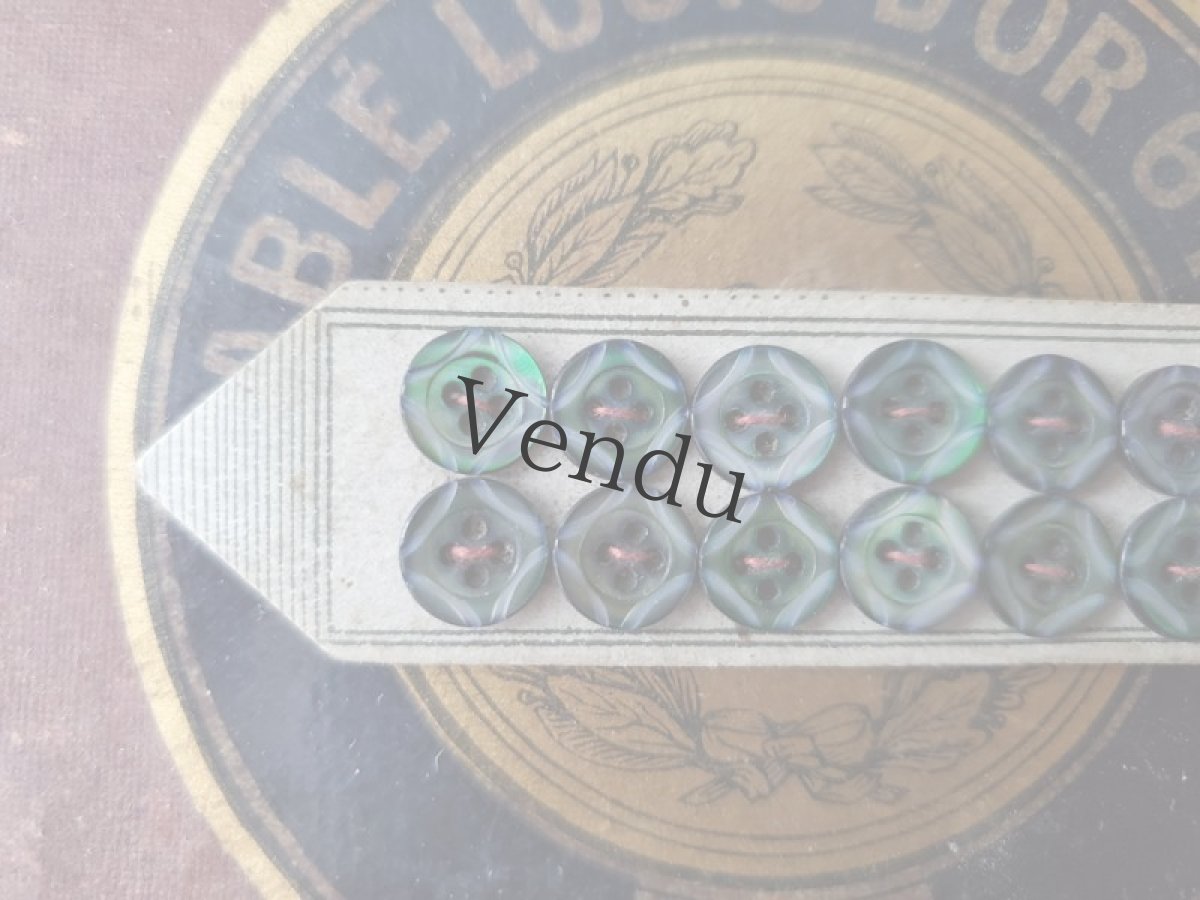 画像4: フランス1900年前後  黒蝶貝ボタンシート 深緑 9mm (4)