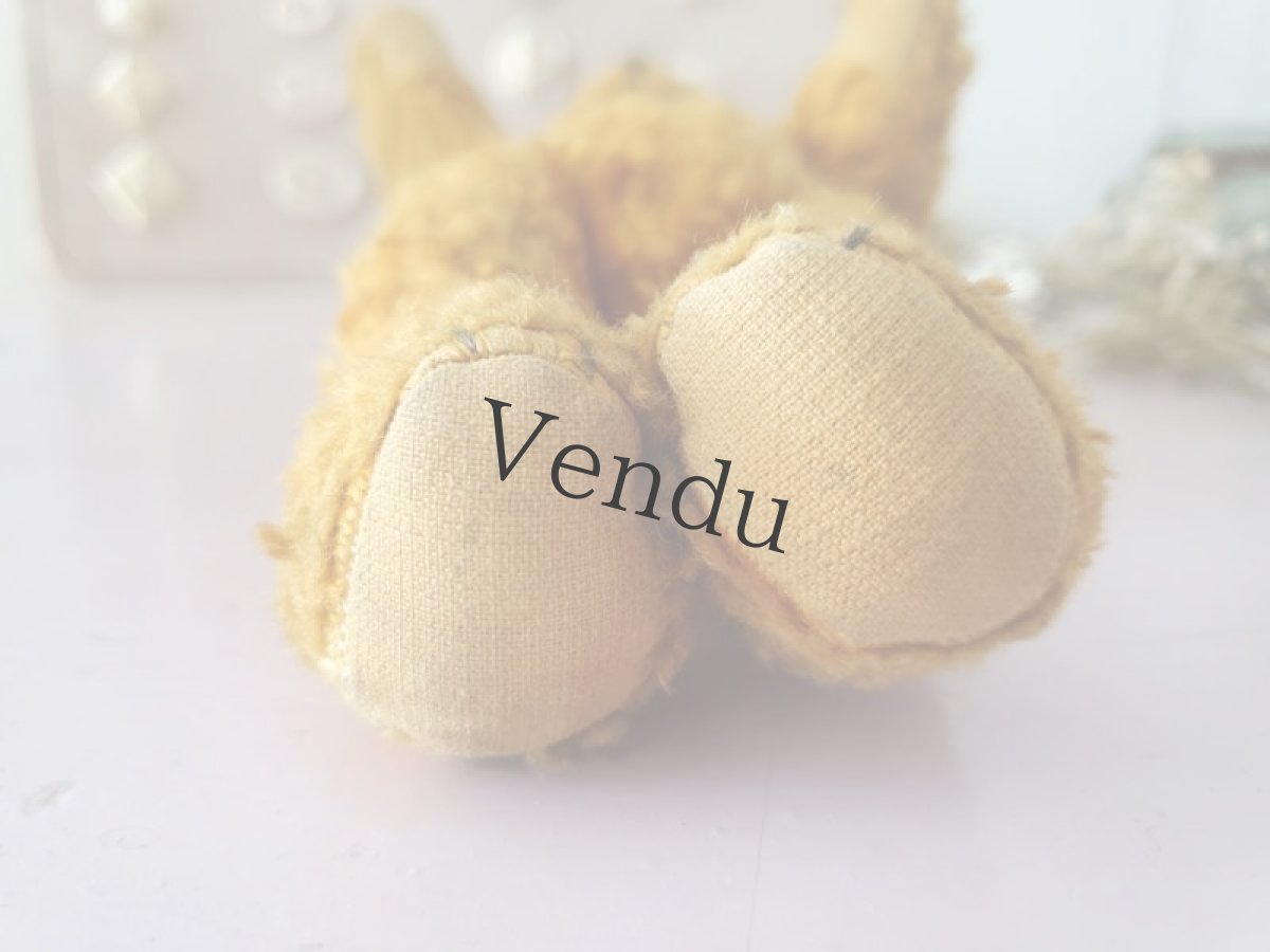 画像8: フランス 1930-1950年 小さなくまのぬいぐるみ (8)