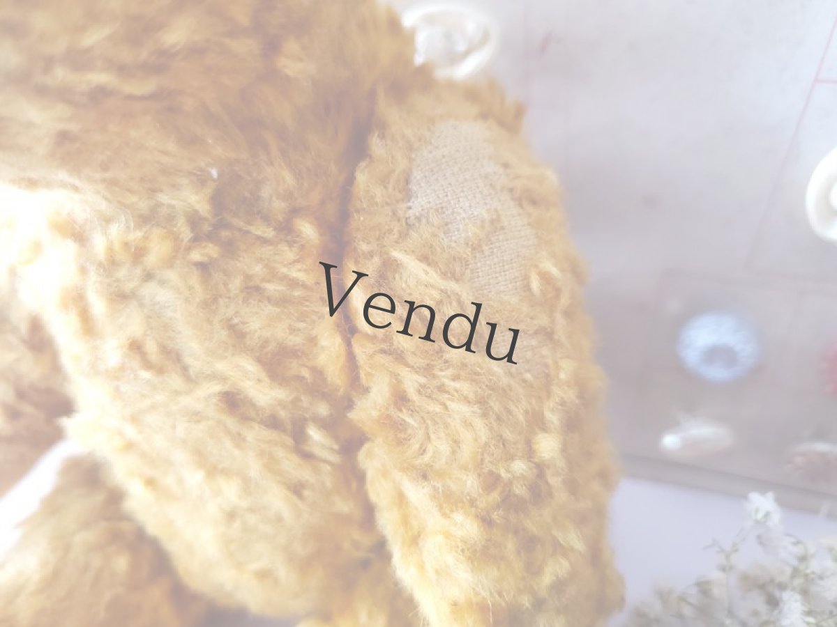 画像10: フランス 1930-1950年 小さなくまのぬいぐるみ (10)