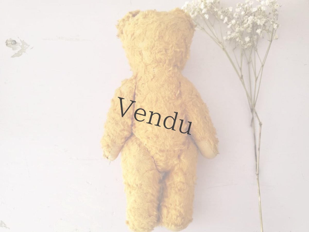 画像9: フランス 1930-1950年 小さなくまのぬいぐるみ (9)