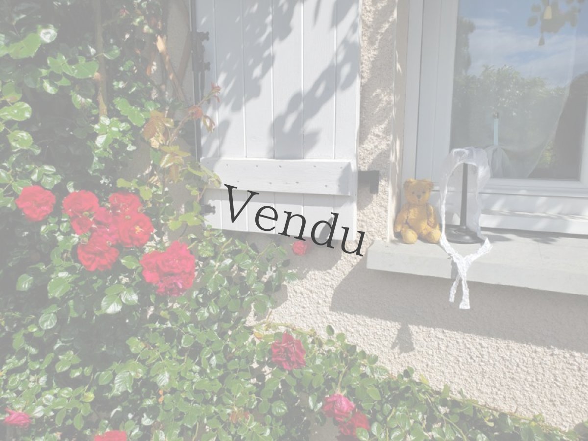 画像11: フランス 1930-1950年 小さなくまのぬいぐるみ (11)